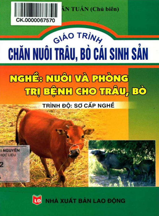 Tài Liệu Số Giáo Trình Chăn Nuôi Trâu Bò Cái Sinh Sản