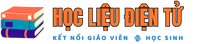 HocLieuDienTu.com