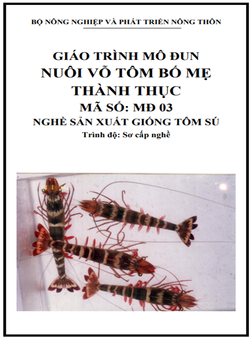 Tài Liệu Số Giáo Trình Mô Đun Nuôi Vỗ Tôm Bố Mẹ Thành Thục