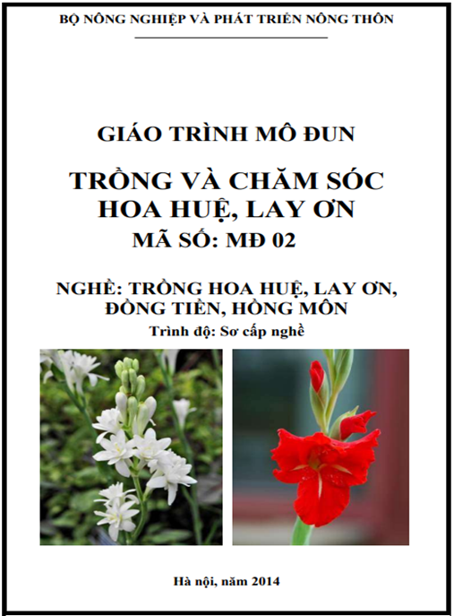 Tài Liệu Số Giáo Trình Mô Đun Trồng Và Chăm Sóc Hoa Huệ, Lay Ơn