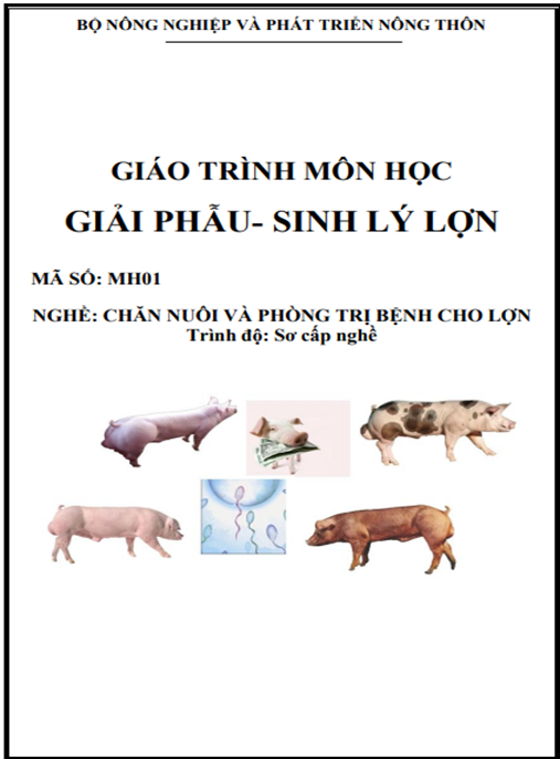 Tài Liệu Số Giáo Trình Môn Học Giải Phẫu – Sinh Lý Lợn
