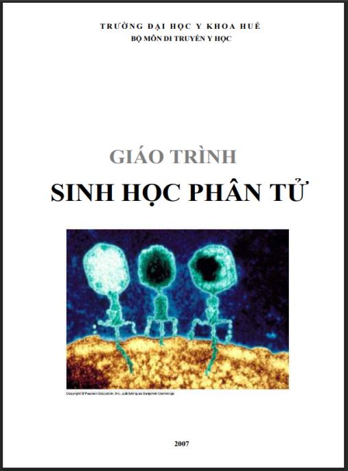 Tài liệu số GIÁO TRÌNH SINH HỌC PHÂN TỬ, CHƯƠNG 2: SINH HỌC PHÂN TỬ