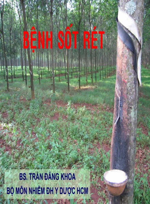 Tài Liệu Số Bài giảng Bệnh sốt rét