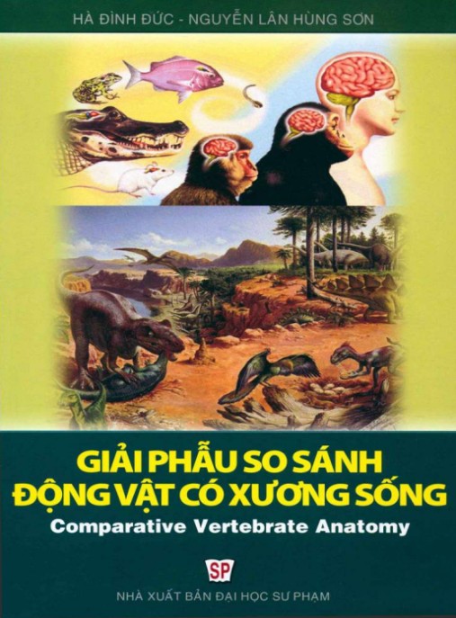 Tài Liệu Số Giáo trình Giải phẫu so sánh động vật có xương sống (Tái bản lần thứ nhất) – Phần 1