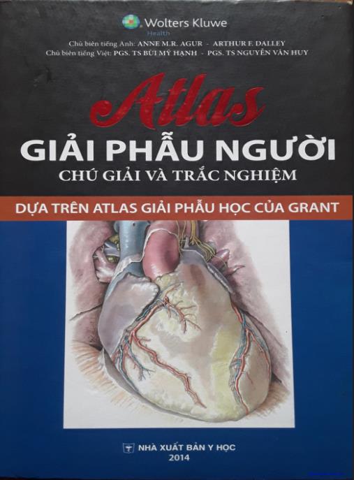Tài liệu số Atlas Giải Phẫu Người – Chú Giải Và Trắc Nghiệm