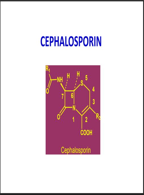 Tài liệu số Bài giảng Hóa dược Cephalosporin