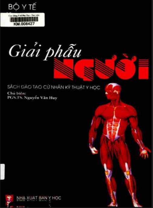 Tài liệu số Giải phẫu người (Sách đào tạo cử nhân kỹ thuật y học) – Phần 2