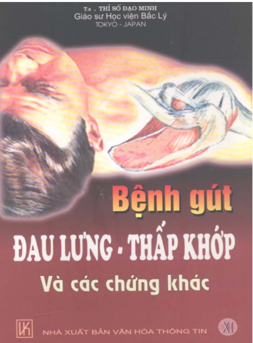 Tài liệu số Bệnh Gút Đau Lưng Thấp Khớp Và Các Chứng Khác
