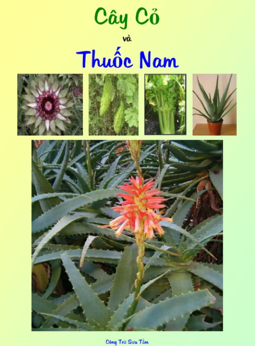 Tài liệu số Cây Cỏ Và Thuốc Nam