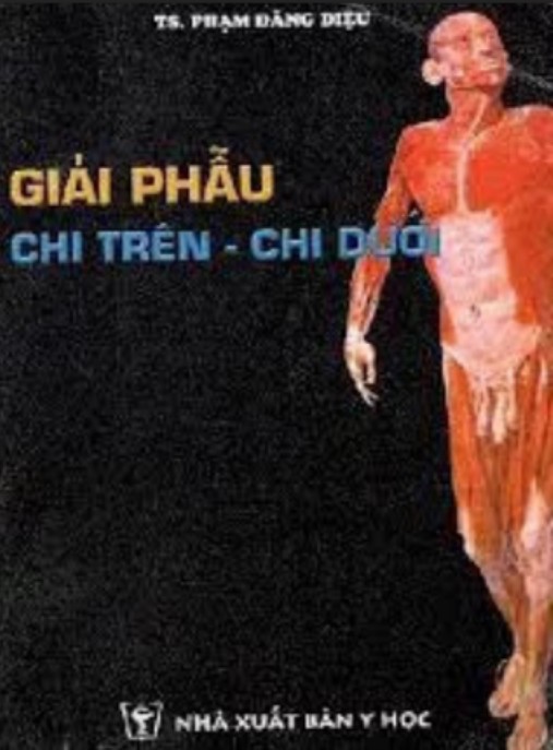 Tài liệu số Giải Phẫu Chi Trên Chi Dưới