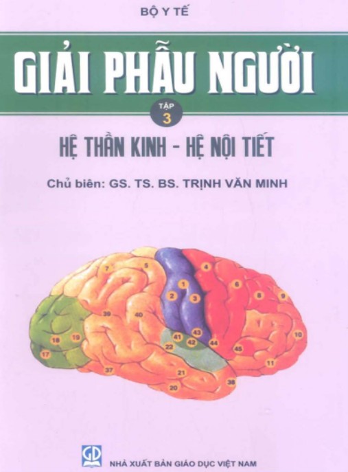 Tài liệu số Giải Phẫu Người Tập 3
