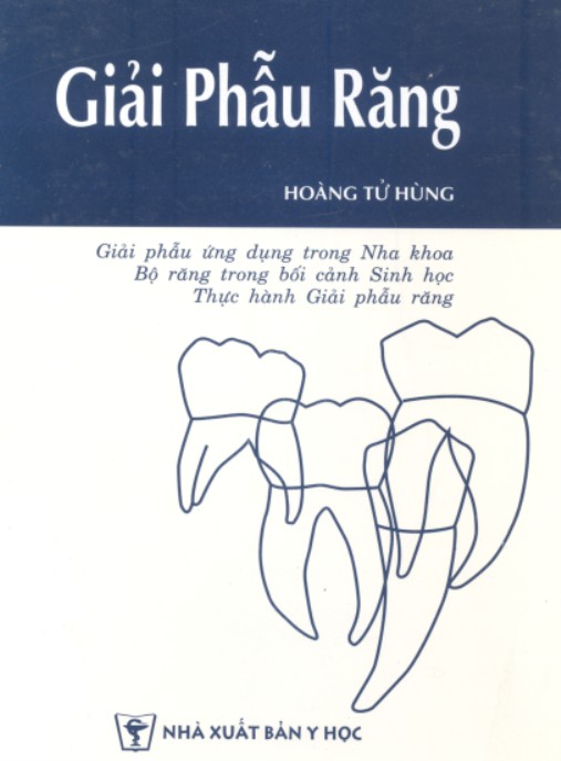 Tài liệu số Giải Phẫu Răng