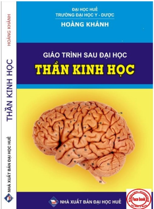 Tài liệu số Giáo Trình Sau Đại Học Thần Kinh Học