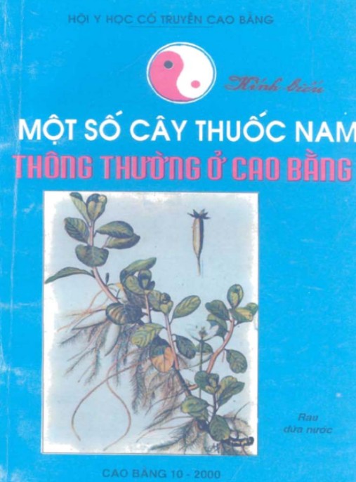 Tài liệu số Một Số Cây Thuốc Nam Thông Thường Ở Cao Bằng